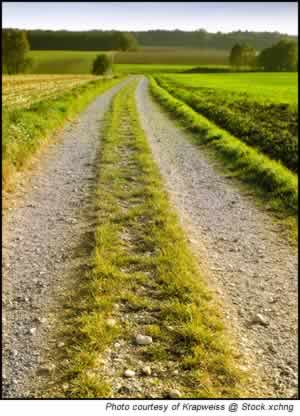 Photo courtesy of Krappweis @ Stock.xchng